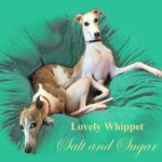 Salt and Sugar　ロマンチックコメディー風映画予告編