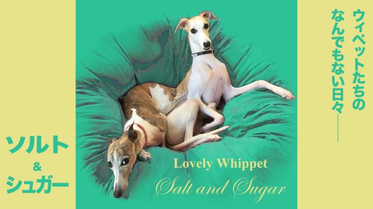 Salt and Sugar　ロマンチックコメディー風映画予告編