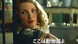 動物園の地下室を秘密の隠れ場所に 感動の実話／映画『ユダヤ人を救った動物園 アントニーナが愛した命』予告編