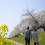 【感動】たった一つの記憶　【ほっこりする話】