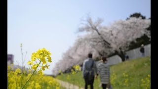 【感動】たった一つの記憶　【ほっこりする話】