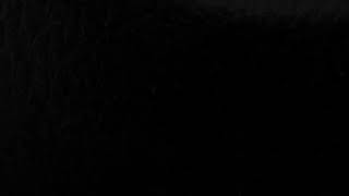 【勝手に予告編(1)】あの国民的アニメを架空の映画化（その１）／ハニマーク北村（※音声のみ）