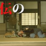 ドラマ「猫忍」第8話予告