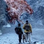 9/20（土）公開 『パラサイト・クリーチャーズ』 予告篇