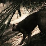 【GTA5】マウンテンライオン：映画予告風動画