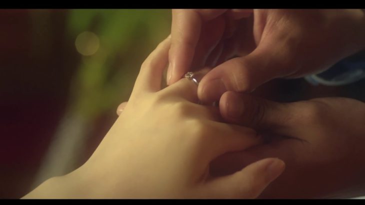 恋と嘘 Love and Lies (2017) ライブアクション映画予告編