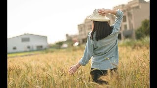 【感動】宝物ボックス　【切ない話】　【悲しい話】