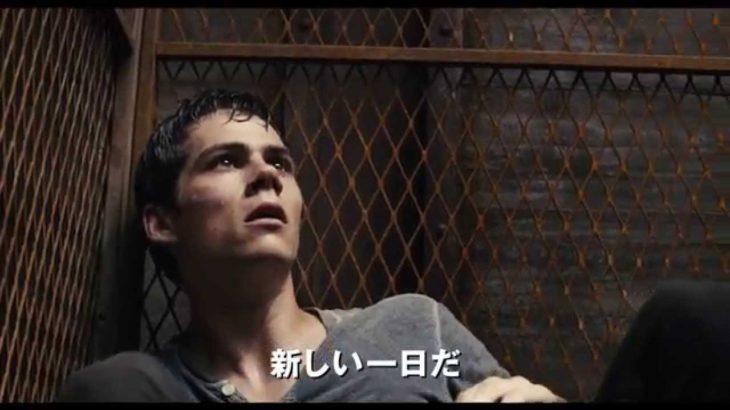 映画「メイズ・ランナー」本予告　謎の巨大迷路が舞台のサバイバル・アクション大作