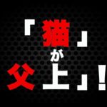 ドラマ「猫忍」予告～ニンジャも萌える