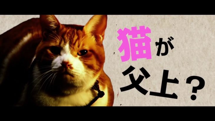 「猫忍」大野拓朗 ｘ 金時アクションシーン満載の予告