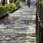 【感動】命よりも大切な友達　【泣ける話】