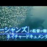 シーズンズ 2万年の地球旅行　映画予告