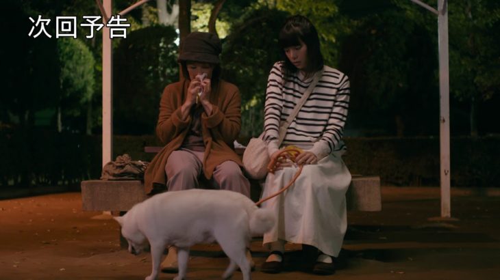 ドラマ「柴公園」第3話予告