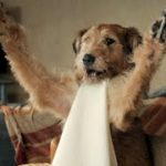 故・ロビン・ウィリアムズが犬の声！英国コメディ映画『ミラクル・ニール！』予告編