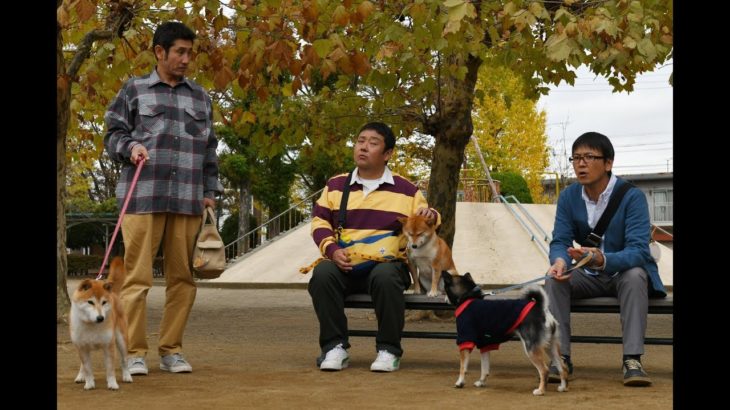 ドラマ「柴公園」第7話予告