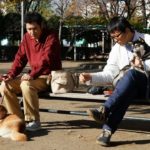 ドラマ「柴公園」第8話予告