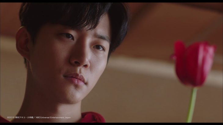 映画｢薔薇とチューリップ」2019.5.3劇場公開予告編