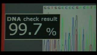 『重力ピエロ』予告編　主題歌：S.R.S「Sometimes」