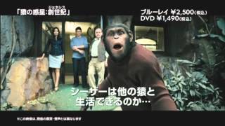 プロメテウス劇場公開記念　SFの最高傑作がお買い得価格で一挙リリース