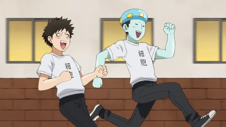 TVアニメ『はたらく細胞』　新作エピソード制作決定PV