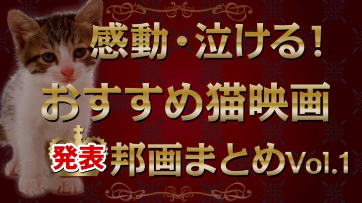感動・泣ける！おすすめ猫映画まとめVol.1(邦画・日本)