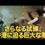 映画『イップ・マン外伝　マスターZ』≪スペシャル予告映像（本予告）≫