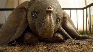 ダンボが空飛ぶ理由が明らかに！映画『ダンボ』予告編