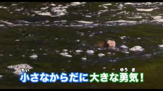 映画『アマゾン大冒険～世界最大のジャングルを探検しよう!～』予告編