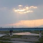 【感動】白猫のみーちゃん　【泣ける話】