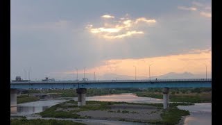 【感動】白猫のみーちゃん　【泣ける話】