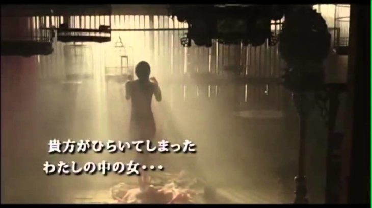 韓国映画 [美人図] 予告版