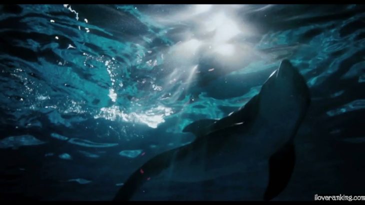 【映画】『ドルフィン・テイル』予告編（字幕）