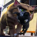 映画『ルドルフとイッパイアッテナ』予告編