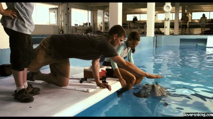 映画『ドルフィン・テイル』予告編（字幕）