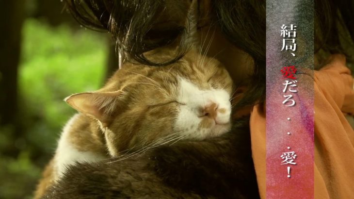 ドラマ「猫忍」第6話予告