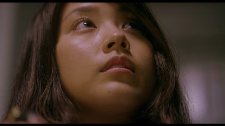 映画『ナラタージュ』WEB予告