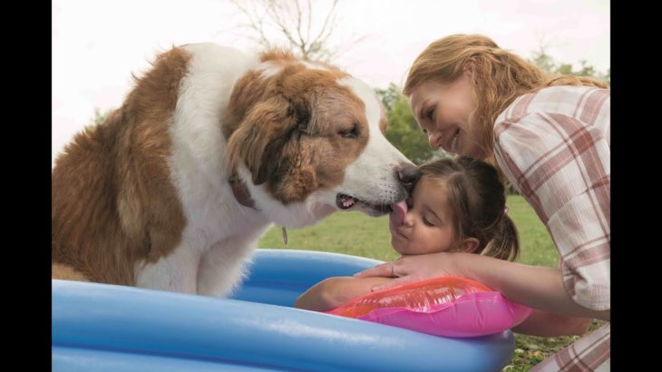 『僕のワンダフル・ジャーニー』予告第一弾