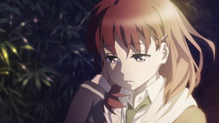 オリジナルアニメ『Just Because！』予告