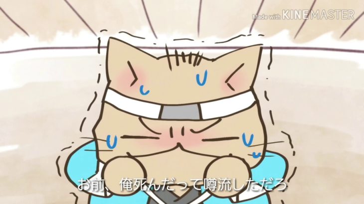 映画ねこねこ日本史予告　(偽物)