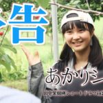 【自主映画/予告】あかりシズカ