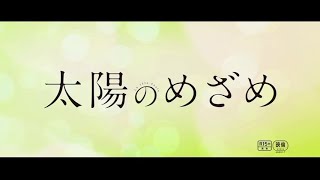 愛とは見捨てないこと 映画『太陽のめざめ』予告編　カトリーヌ・ドヌーヴ