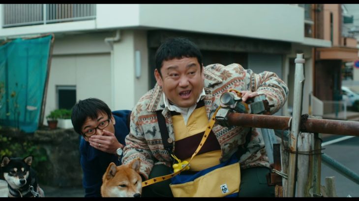 【映画 予告編】　柴公園（映画版）　本予告