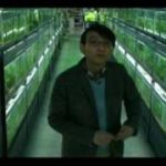 『冷たい熱帯魚』日本版予告(avi)