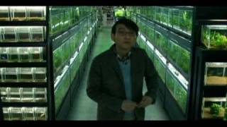 『冷たい熱帯魚』日本版予告(avi)