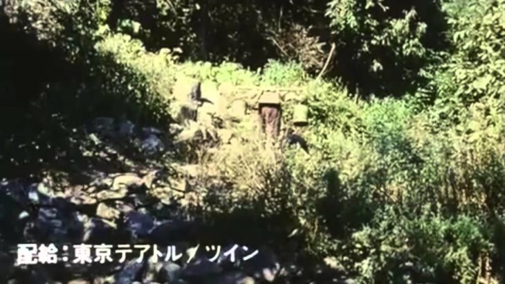 韓国映画 [おばあちゃんの家] 予告版