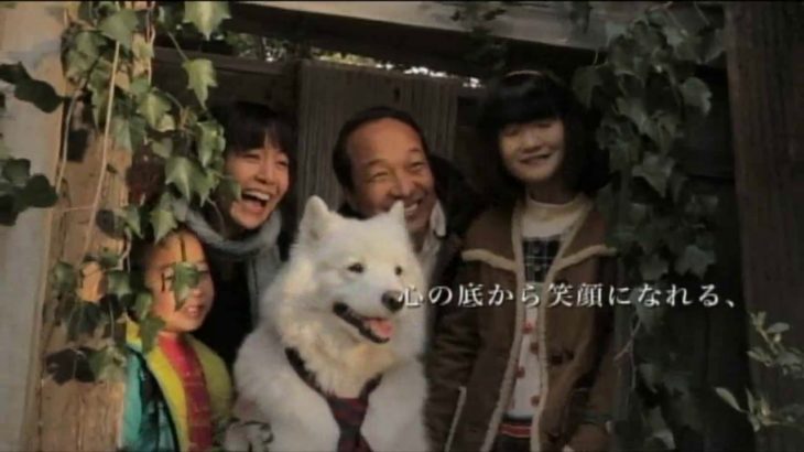 映画「犬飼さんちの犬」劇場予告