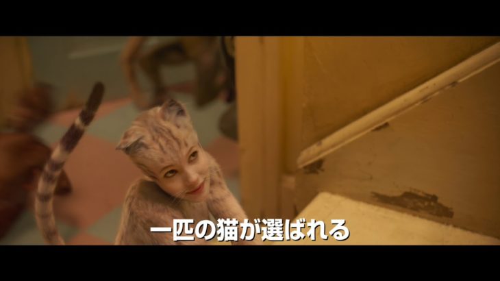 映画『キャッツ』日本限定予告編