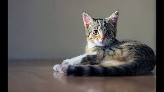 【感動】息子が教えてくれた　【泣ける話】