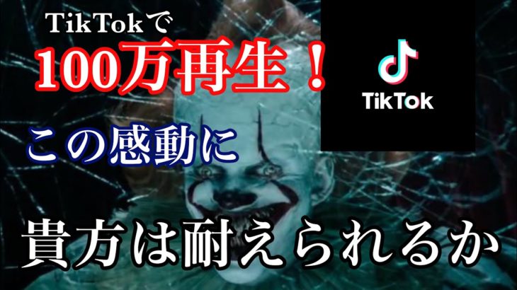 【感動】TikTokで100万再生されたあの感動予告風動画【TikTok】