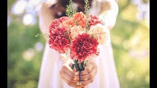 【感動】ありがとうな、おかん　【泣ける話】